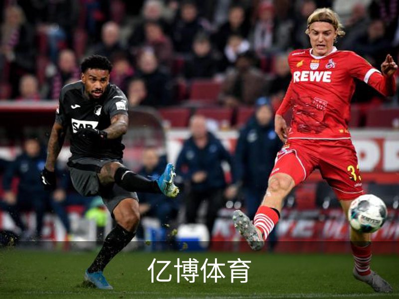 亿博体育简介